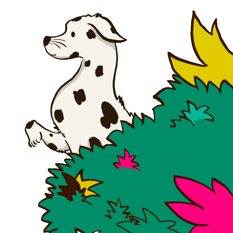 Dalmatian dog